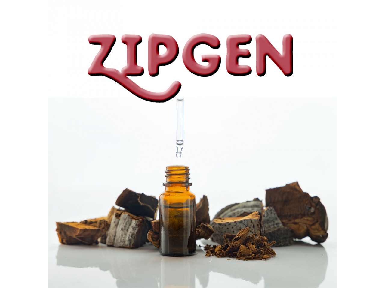 Zipgen